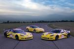 Chevrolet Corvette R GT2 2010 года
